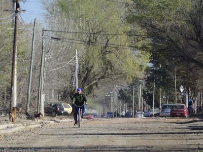 ¡Atención! La plaga que acecha en barrios de la ciudad