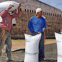 Abacomex, de modesto transportista a exitoso proveedor de Segalmex