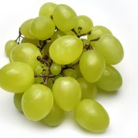 Nieve de uvas: con solo 3 ingredientes, prepará esta receta que es un tesoro para tu salud