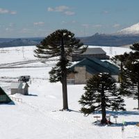 Ya es un hecho: se anunció la reactivación del Complejo Turístico de Primeros Pinos