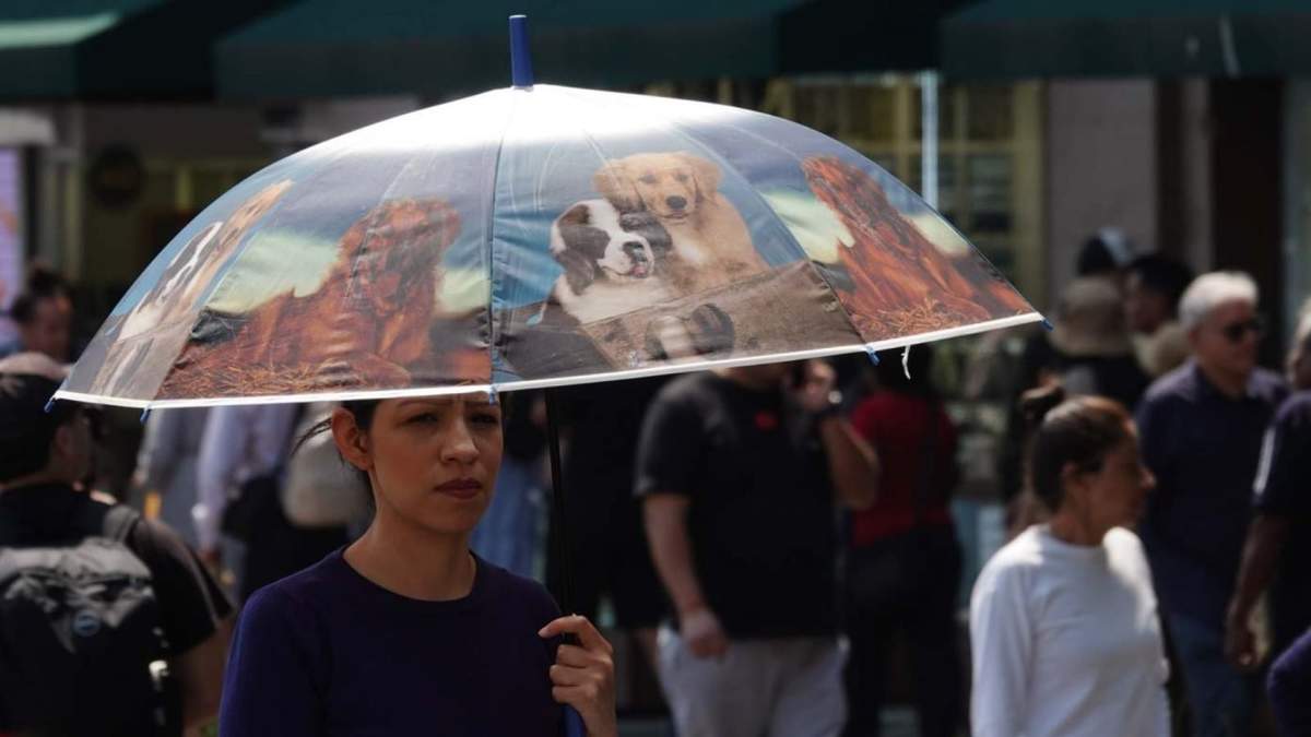 Sombrilla para el calor... o en previsión de lluvias