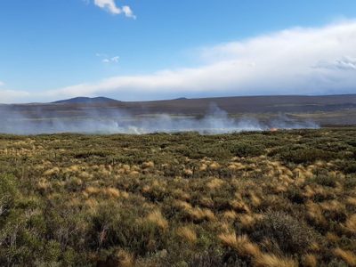 Tras cinco días de extenuante trabajo, controlaron el incendio en Loncopué