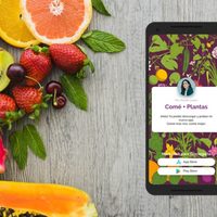 Crece la aplicación con inteligencia artificial que fomenta comer plantas