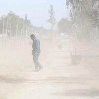 Clima en Neuquén: miércoles ventoso y descenso de la temperatura