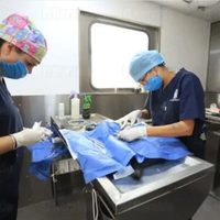 La municipalidad de Neuquén anunció que vuelven las castraciones gratuitas de mascotas