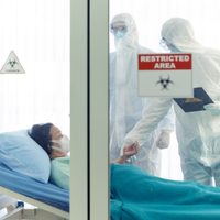 “El origen del coronavirus”: un nuevo informe podría desmentir la versión de la OMS