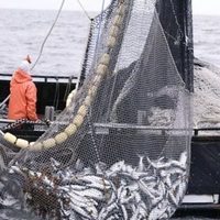 Arcioni firmó acuerdo por la continuidad de la captura de merluza