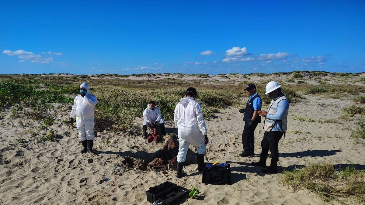 Detienen a integrantes de empresa contratada por SpaceX en Playa Bagdad por falta de permisos