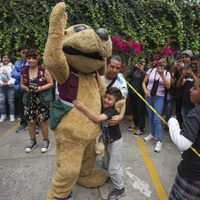Este es Wisin, el "perrito luchador" de México que se ha vuelto fenómeno viral (Video)