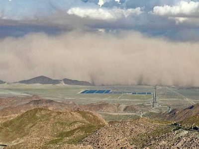 Tormenta de arena sorprende a Mexicali, tira árboles, una fachada y deja dos heridos (Videos)