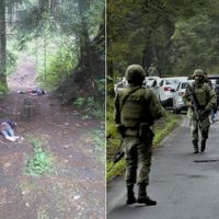Riegan en el Ajusco cuatro cuerpos maniatados y baleados