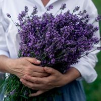 Bendecí tu hogar con este poderoso ritual con Lavanda, que aleja toda la energía negativa