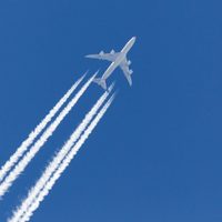 El Gobierno busca utilizar aviones para controlar a la plaga de langostas