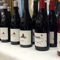 Vinos del Bierzo se presentan en Madrid