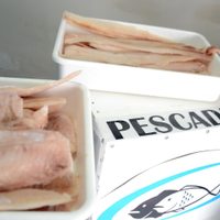 Semana Santa: subieron los precios de pescados y mariscos
