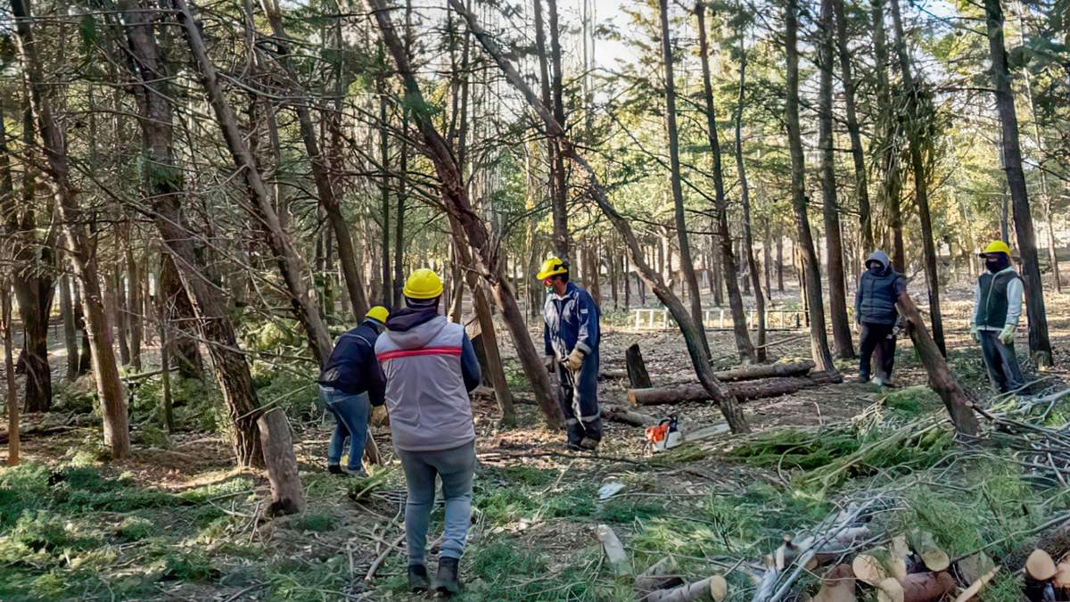 Los trabajos de mejoramiento del Bosque Comunal no han cesado en ningún momento a lo largo del año. Fuente: (Twitter).