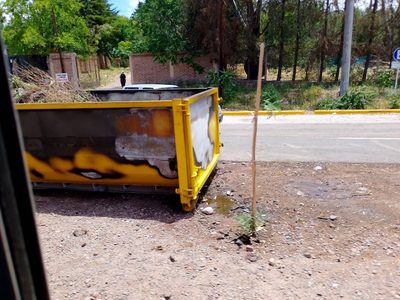 Vandalismo y crueldad: un perro murió quemado tras el incendio de un contenedor