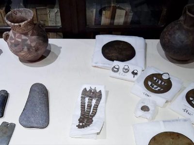 Devolvieron a Neuquén más de 130 piezas arqueológicas incautadas en un robo frustrado hace dos décadas
