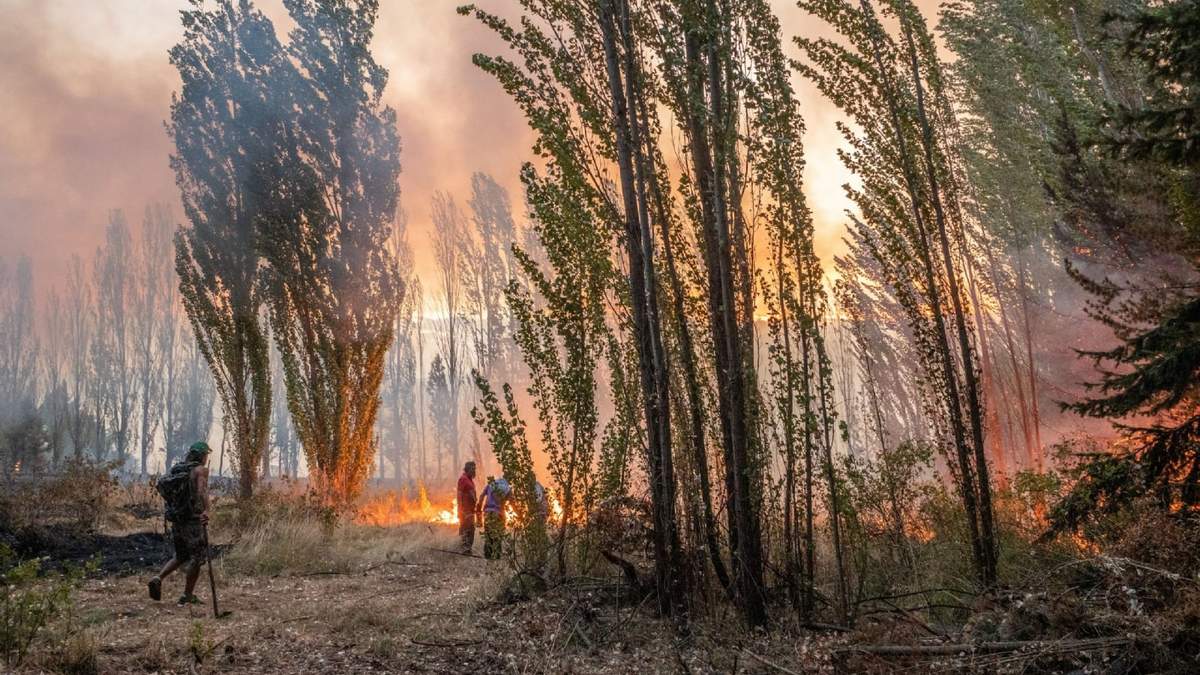 Incendio en Chubut. Fuente: (Twitter)