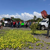Desde 2021 Sedena sabe quiénes extorsionan a los limoneros y sus ligas con el gobierno de Michoacán