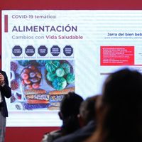 Qué enseñará Vida Saludable, la nueva materia escolar que impulsan Salud y la SEP