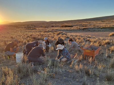 Descubren fósiles y huellas de dinosaurios en Covunco y avanzan en la reconstrucción del ecosistema prehistórico