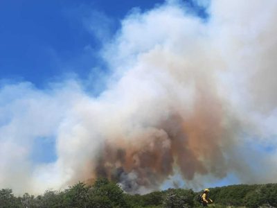 El incendio forestal en Ruca Choroi arrasó con 12 hectáreas