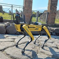 El parque arqueológico de Pompeya presentó a su último trabajador: un perro robot