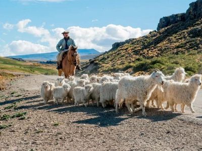 Sequía en Neuquén: despliegan capacitaciones a productores