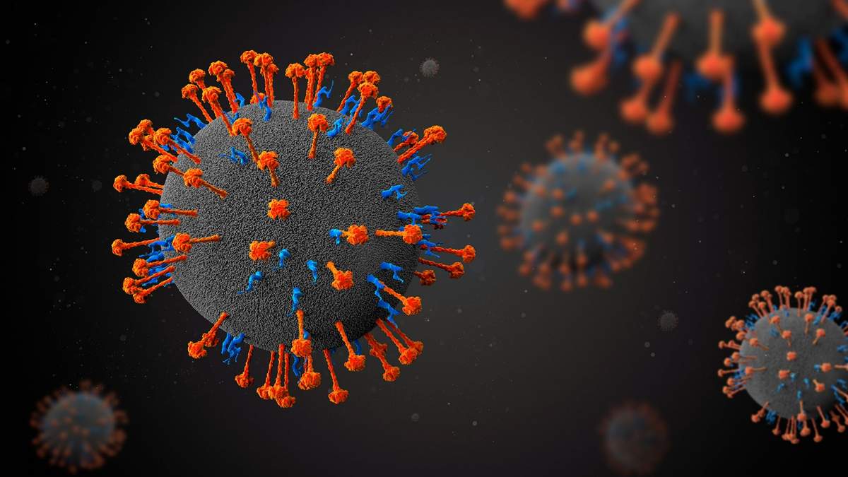 Virus. Fuente: (Twitter)