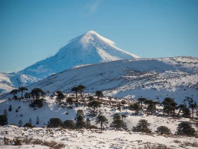 Turismo Neuquén: 4 cosas para hacer en Junín de los Andes que te van a sorprender