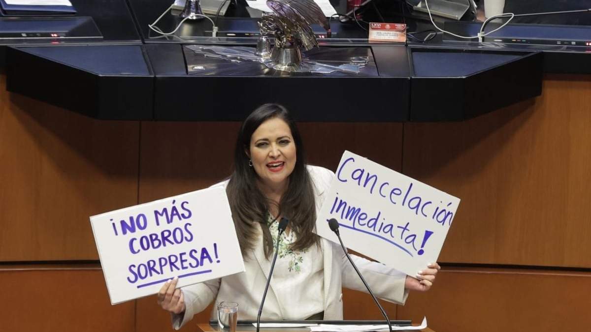 La senadora morenista Cynthia López Castro