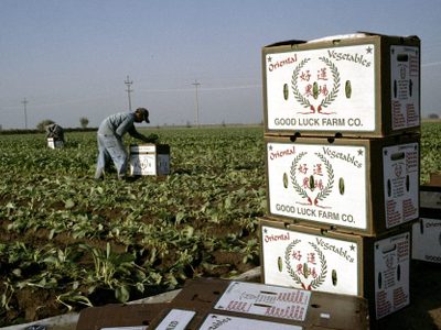 Agricultura digital: ¿crisis u oportunidad?