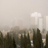 Nublado y con fuertes ráfagas de viento: así estará el clima en Neuquén
