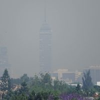 Contingencia ambiental en CDMX: Habrá Doble No Circula este jueves 7 de marzo