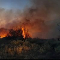 En un incendio forestal en Butaco, los bomberos lucharon contra las llamas a solo metros de viviendas