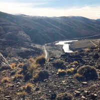 De qué se trata: impactante hallazgo cerca de Junín de los Andes
