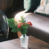 Decoración monocromática sin aburrimiento: 5 claves para que tus espacios luzcan sofisticados y con un guiño vintage de abuela
