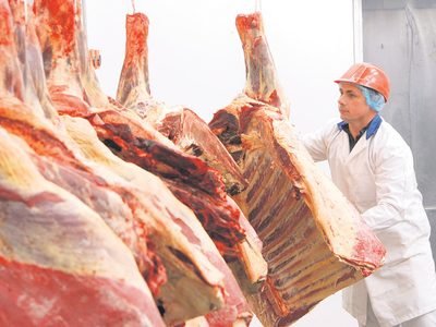 Exportación de carne: las nuevas restricciones causarán pérdidas millonarias en la industria