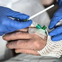 Variante Delta: detectan un tratamiento con suero equino hiperinmune capaz de neutralizar al virus