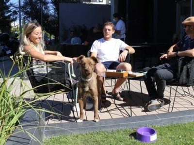 Mañana iniciará el primer censo de perros y gatos en la historia de Neuquén