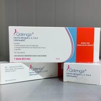 La vacuna contra el dengue ya se encuentra disponible en el país
