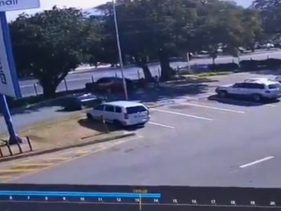 Captan asesinato de "Mr Big", el mayor cazador furtivo de rinocerontes en Sudáfrica