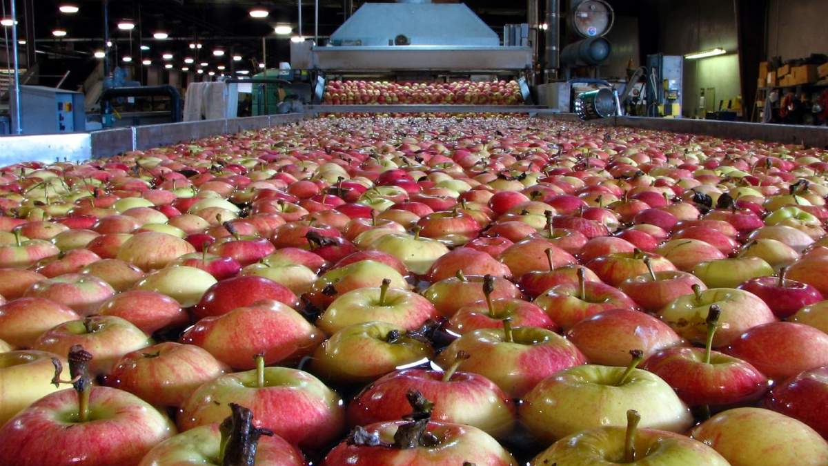 Rusia es uno de los principales socios de la región en cuanto al comercio frutícola. Fuente: (Twitter)