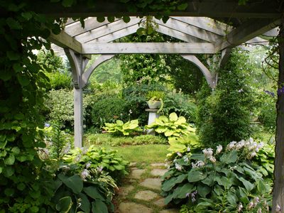 Conocé las mejores formas de sustituir el césped por otras plantas para un jardín de sombra total