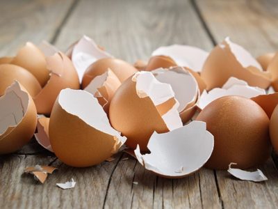 No tires las cáscaras de huevos y mirá cómo podés usarlas de la forma más eficiente y fácil en tus plantas y jardín