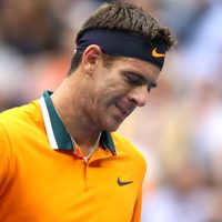 Juan Martín del Potro transita uno de los momentos más difíciles de su vida