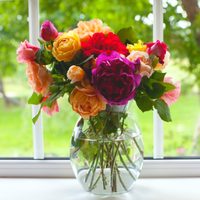 Con solo 3 ingredientes, el secreto de la abuela para que tus rosas no se marchiten tan rápido