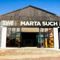 Últimas horas para visitar Arte Más Arte 2020 en Zapala
