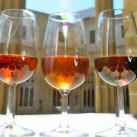 Los bodegueros en Jerez buscan alternativas ante la crisis del sector
